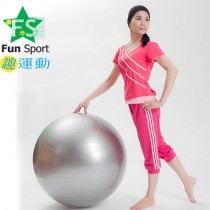 《Fun Sport》平面抗力球(65CM)台灣生產(銀)-